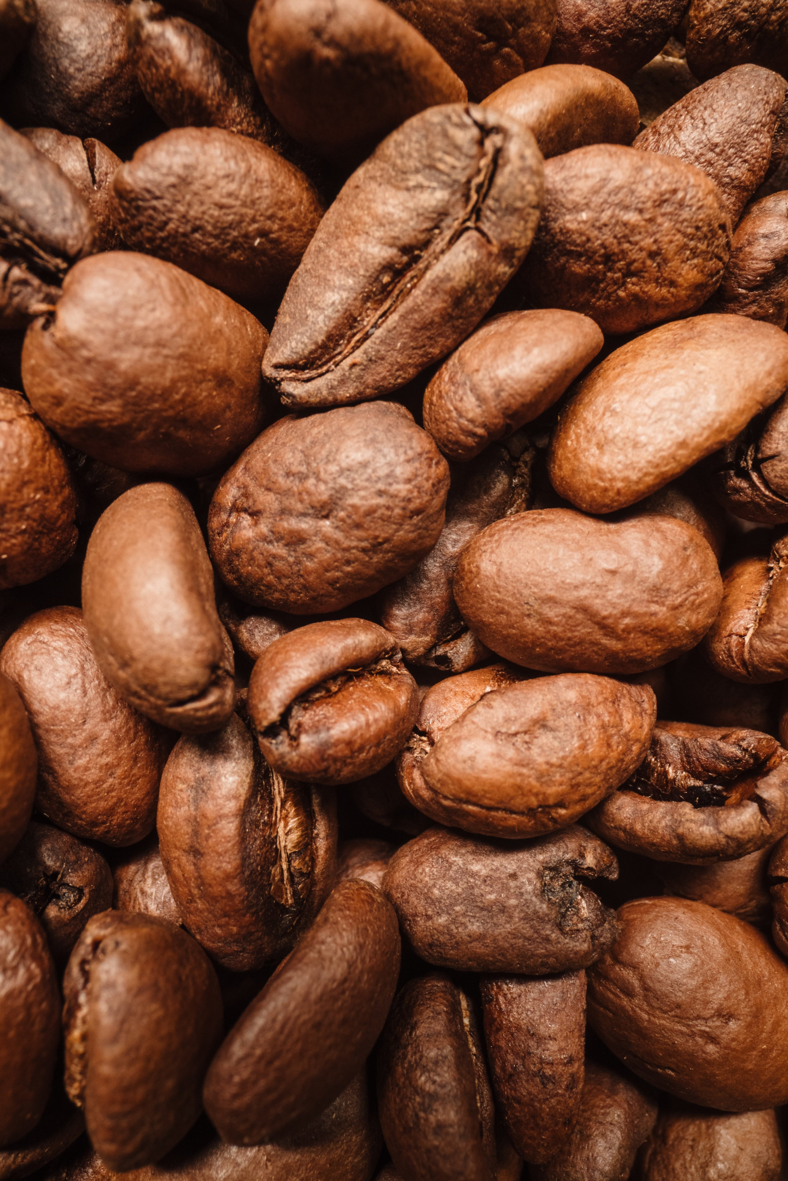Close up of light roast coffee beans